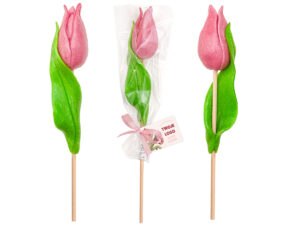 Tulip Lollipop 3D